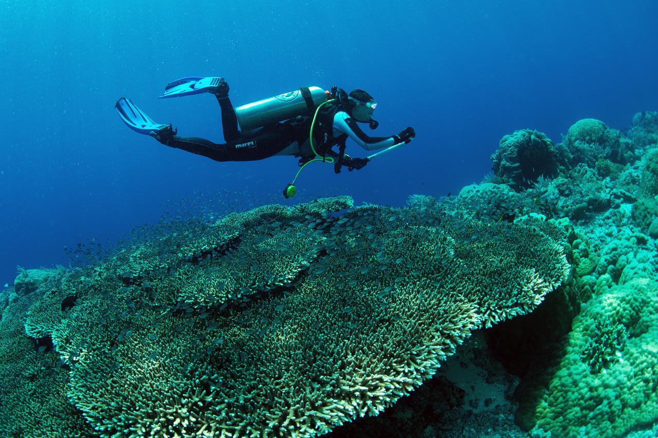 Murex Dive Resort 마나도 외부 사진